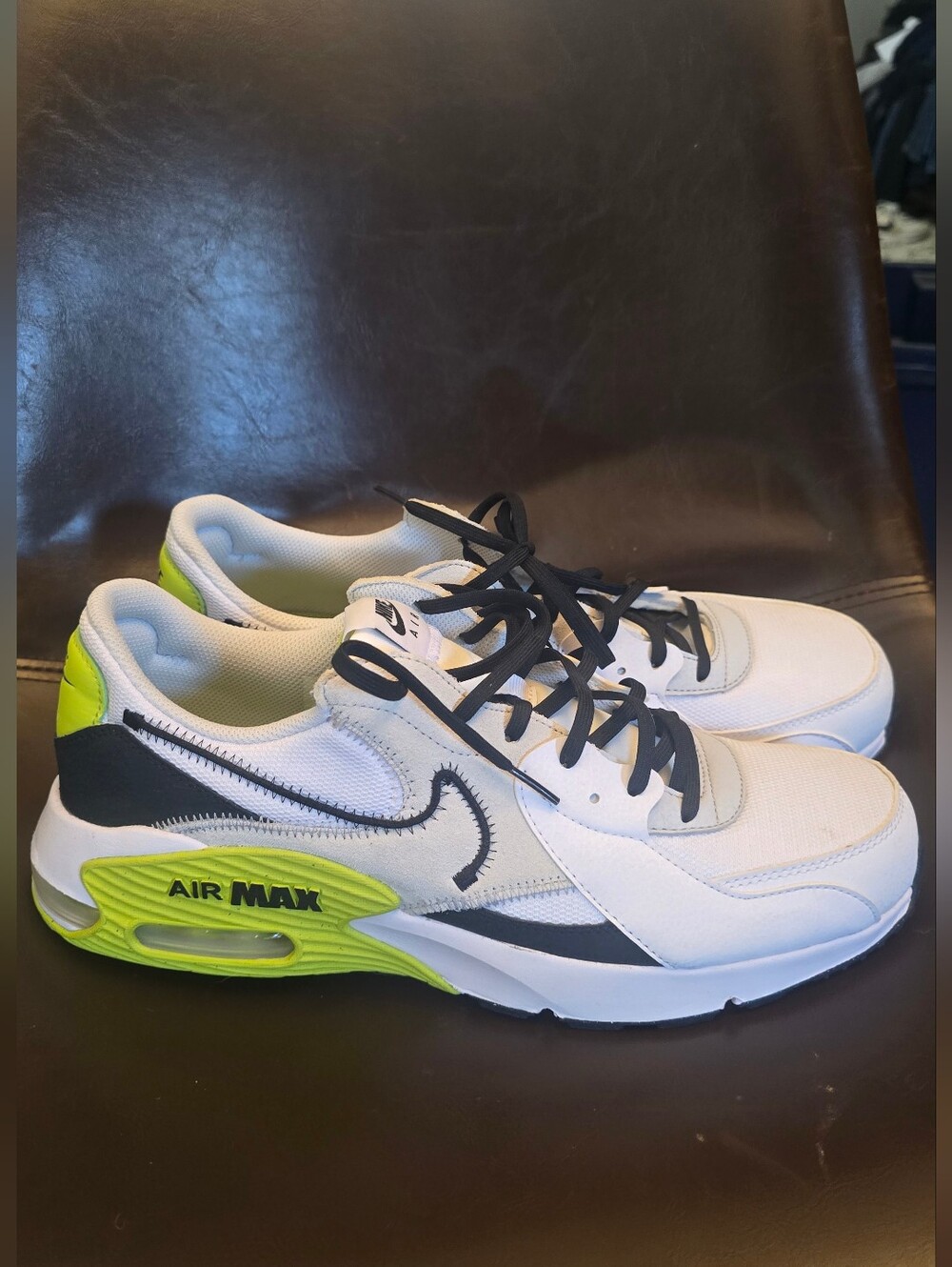Nike Air Max ExceeBright Cactus